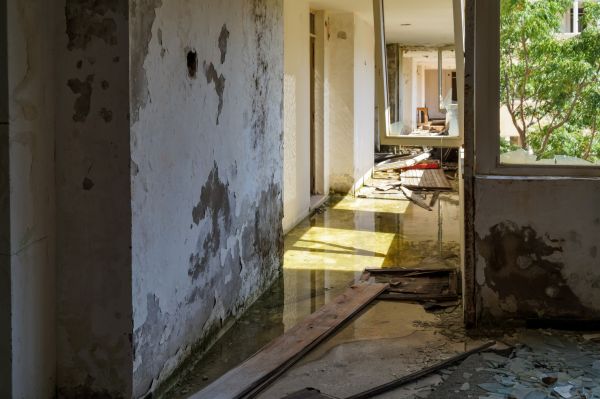 Water Removal Service in Tucson