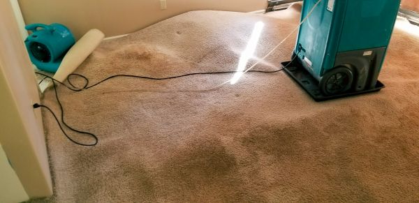 Carpet Water Extraction in Tucson