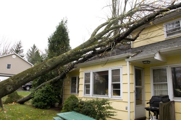 Hurricane Damage Repair in Tucson